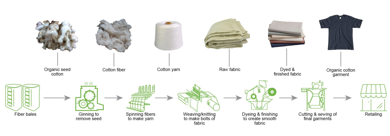 The role of organic in creating a sustainable cotton supply chain