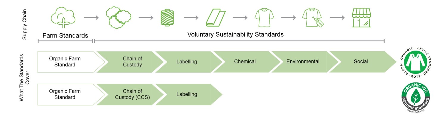 Difference Between Conventional Cotton, Organic Cotton, and BCI Cotton –  Apparelscience