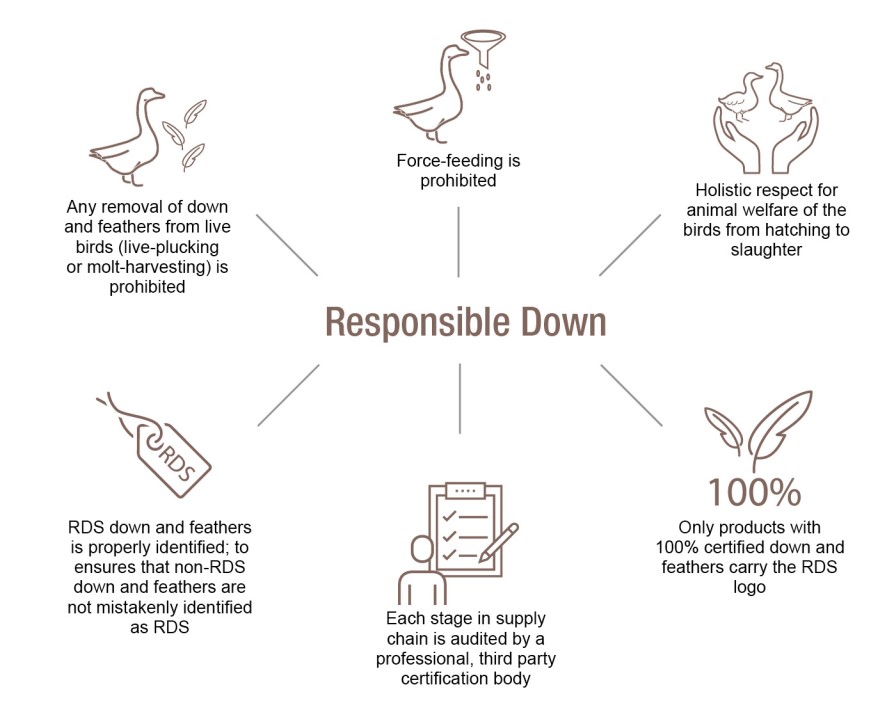 Difference Between Wool and Down - POLYESTER STAPLE FIBER HOLLOW CONJUGATED  FIBER