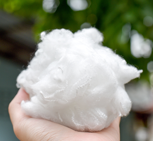 Basic Information About Recycled Polyester - POLYESTER STAPLE FIBER HOLLOW  CONJUGATED FIBER