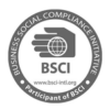 BSCI Icon